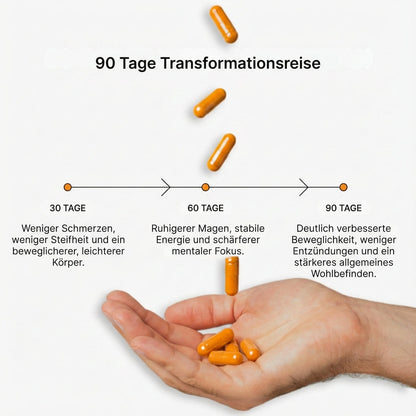 Biolabs – Kurkuma Curcumin 1000mg